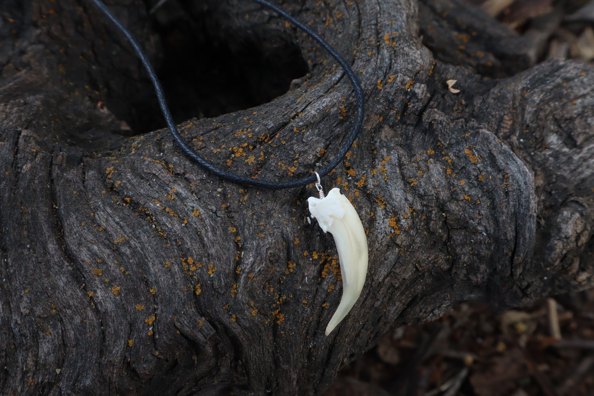 Badger Claw Necklace