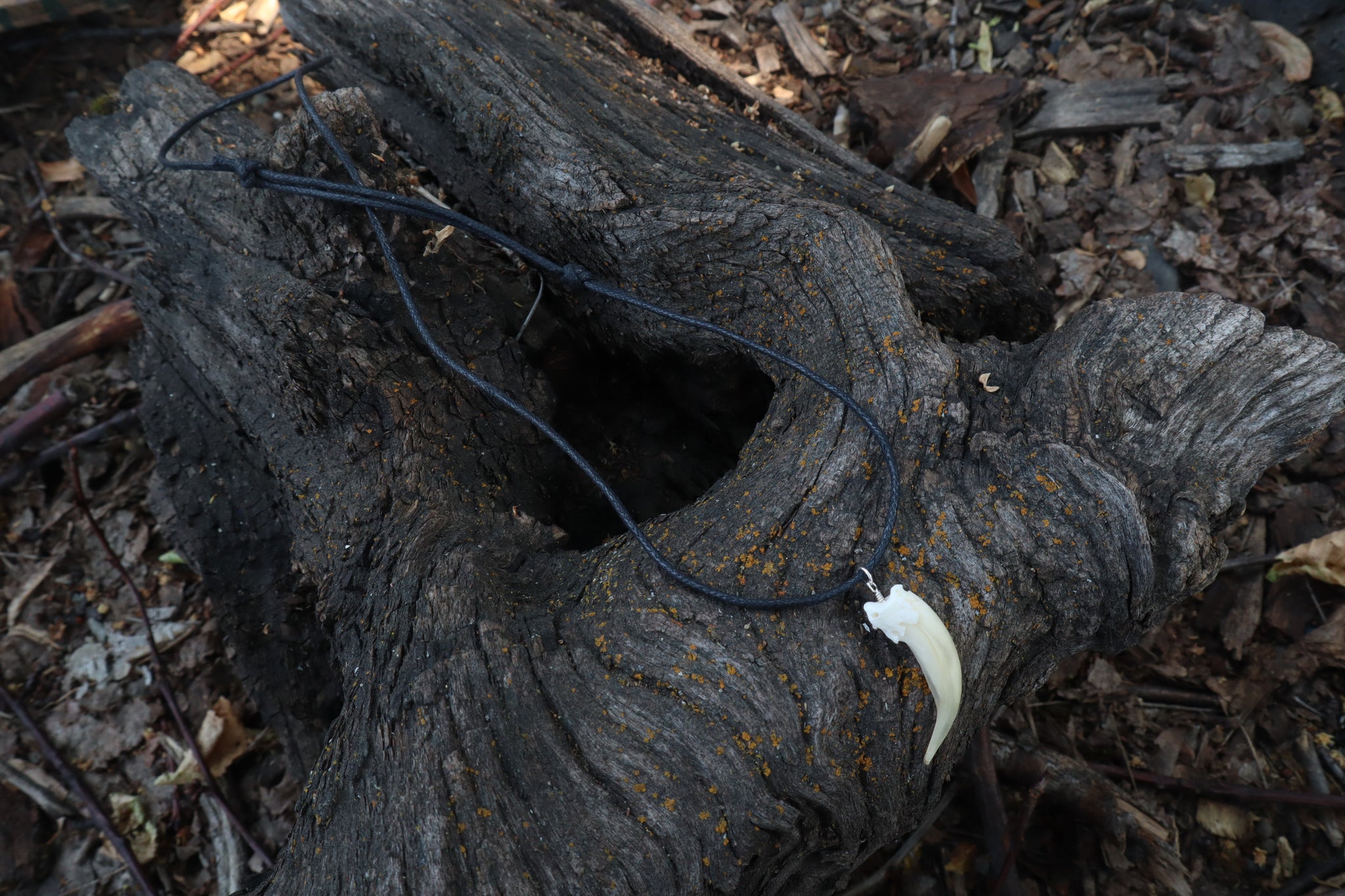 Badger Claw Necklace