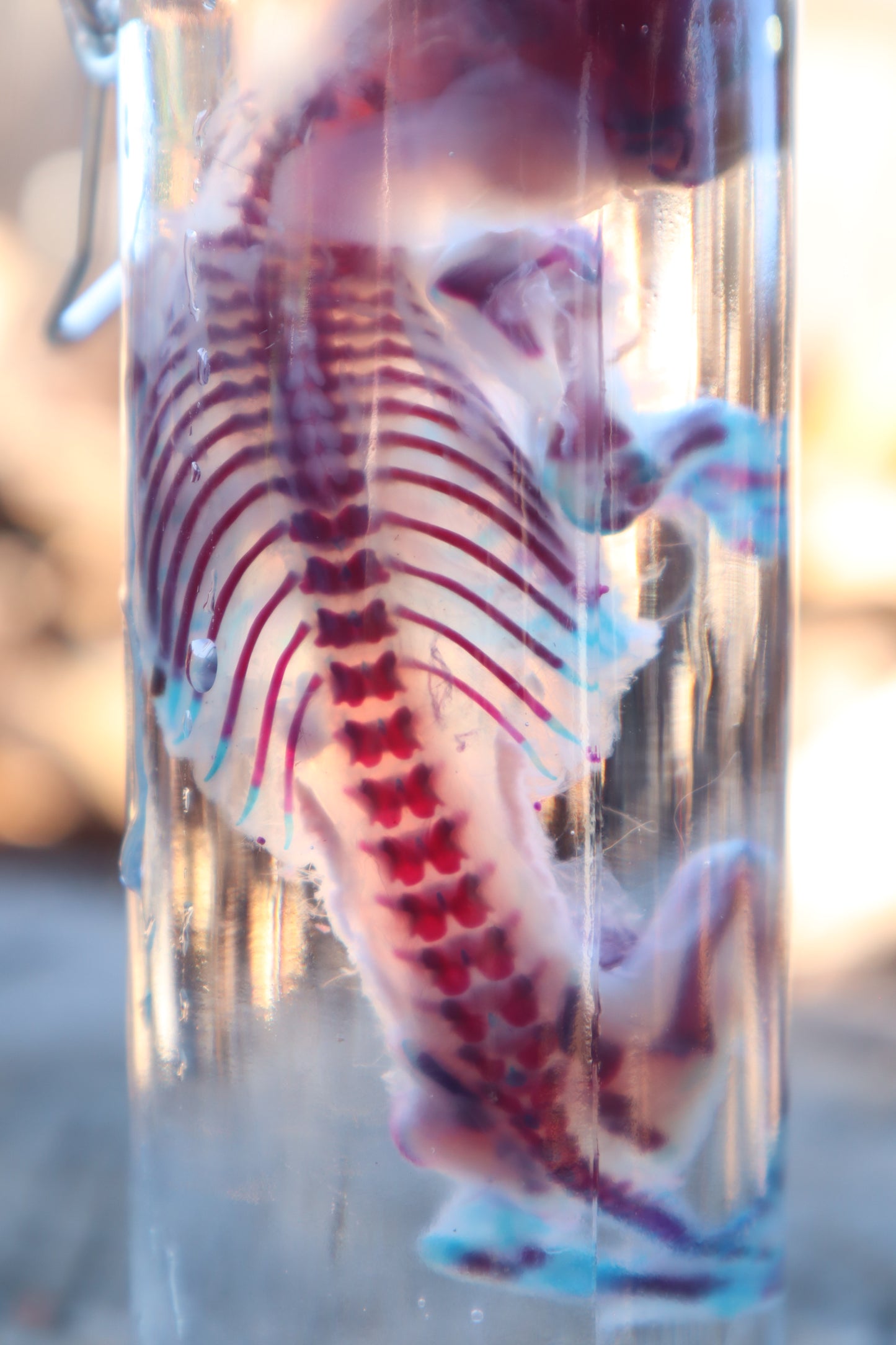 Diaphonized Baby Rabbit with Ears