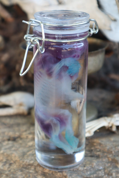 Spectral Fetal Beaver