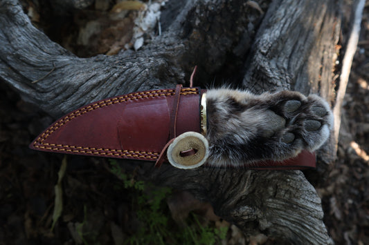 Bobcat Paw Knife with Leather Sheath