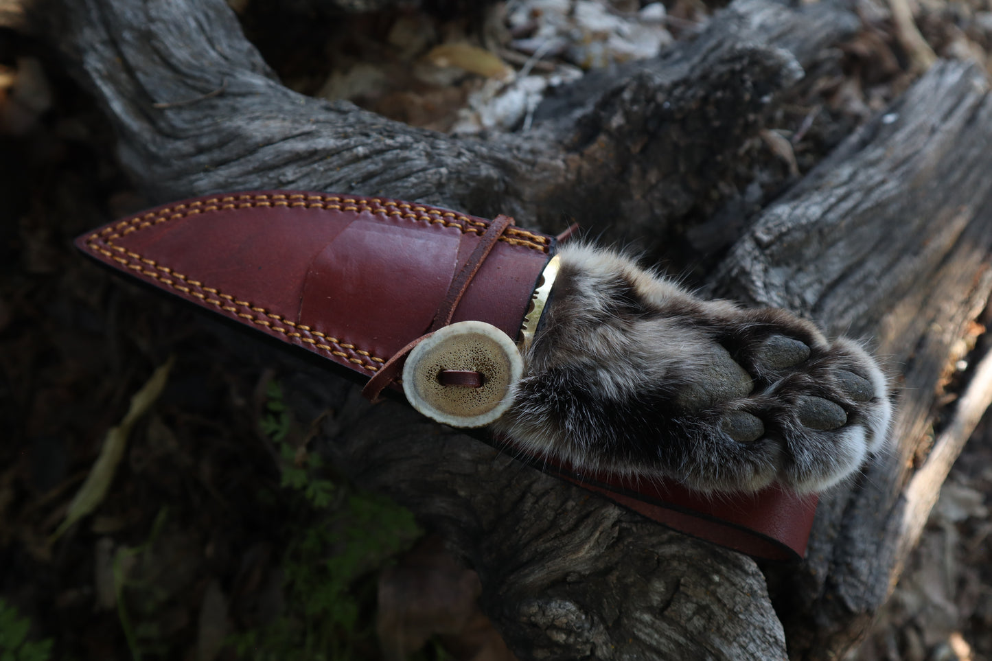 Bobcat Paw Knife with Leather Sheath