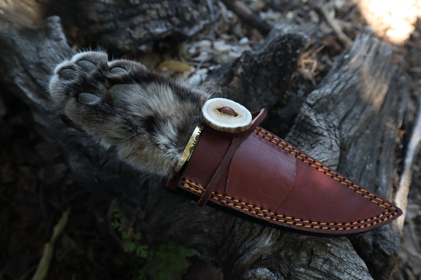 Bobcat Paw Knife with Leather Sheath
