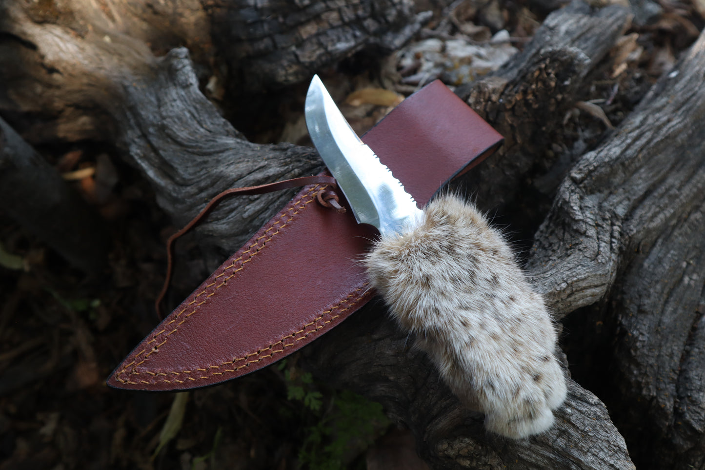 Bobcat Paw Knife with Leather Sheath