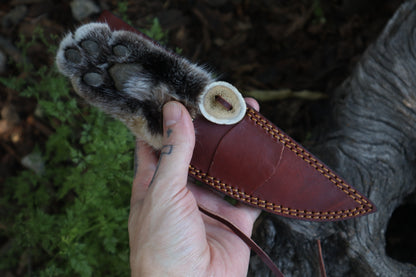 Bobcat Paw Knife with Leather Sheath