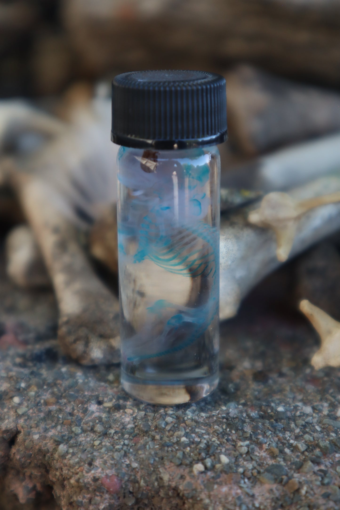 Diaphonized Baby Mouse