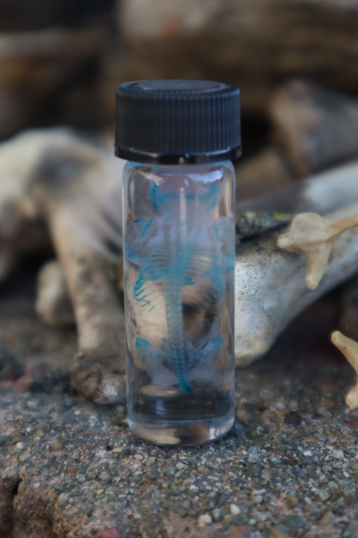 Diaphonized Baby Mouse