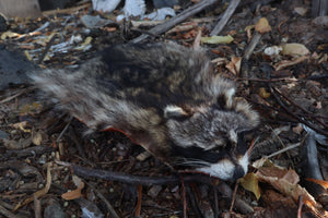 Raccoon Altar Topper