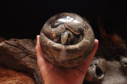 Rattlesnake Crystal Ball Wet Specimen