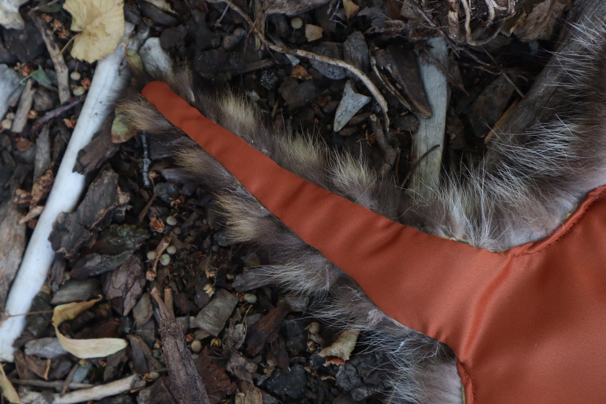 Raccoon Altar Topper