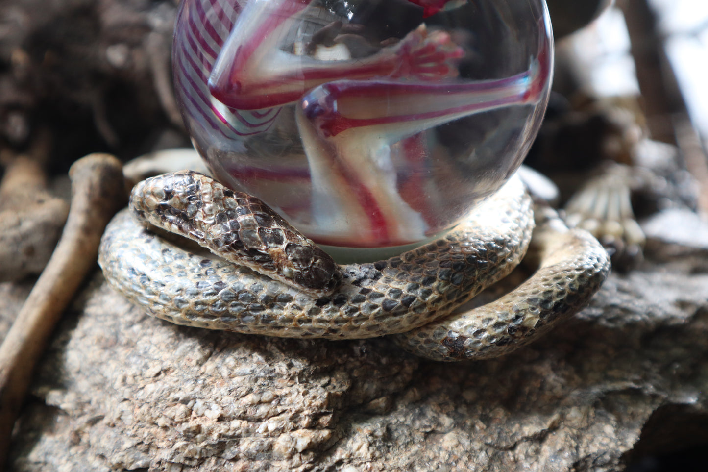 Diaphonized Sugar Glider Crystal Ball with Serpent Throne