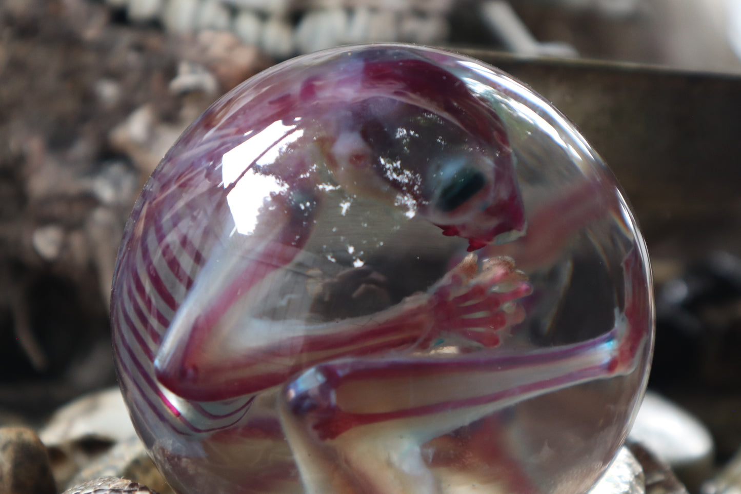 Diaphonized Sugar Glider Crystal Ball with Serpent Throne