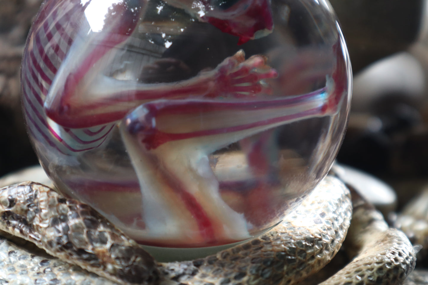 Diaphonized Sugar Glider Crystal Ball with Serpent Throne