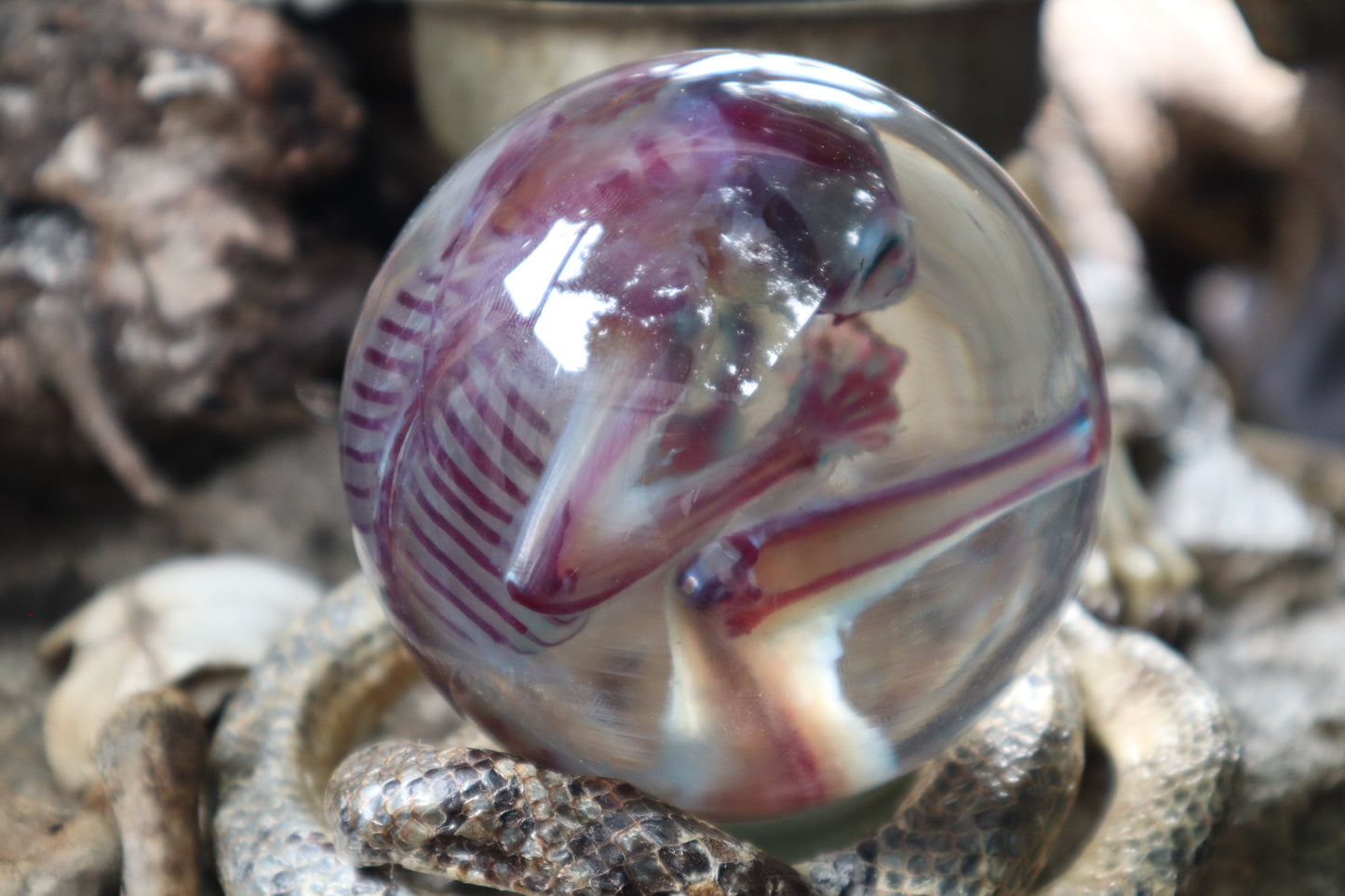 Diaphonized Sugar Glider Crystal Ball with Serpent Throne
