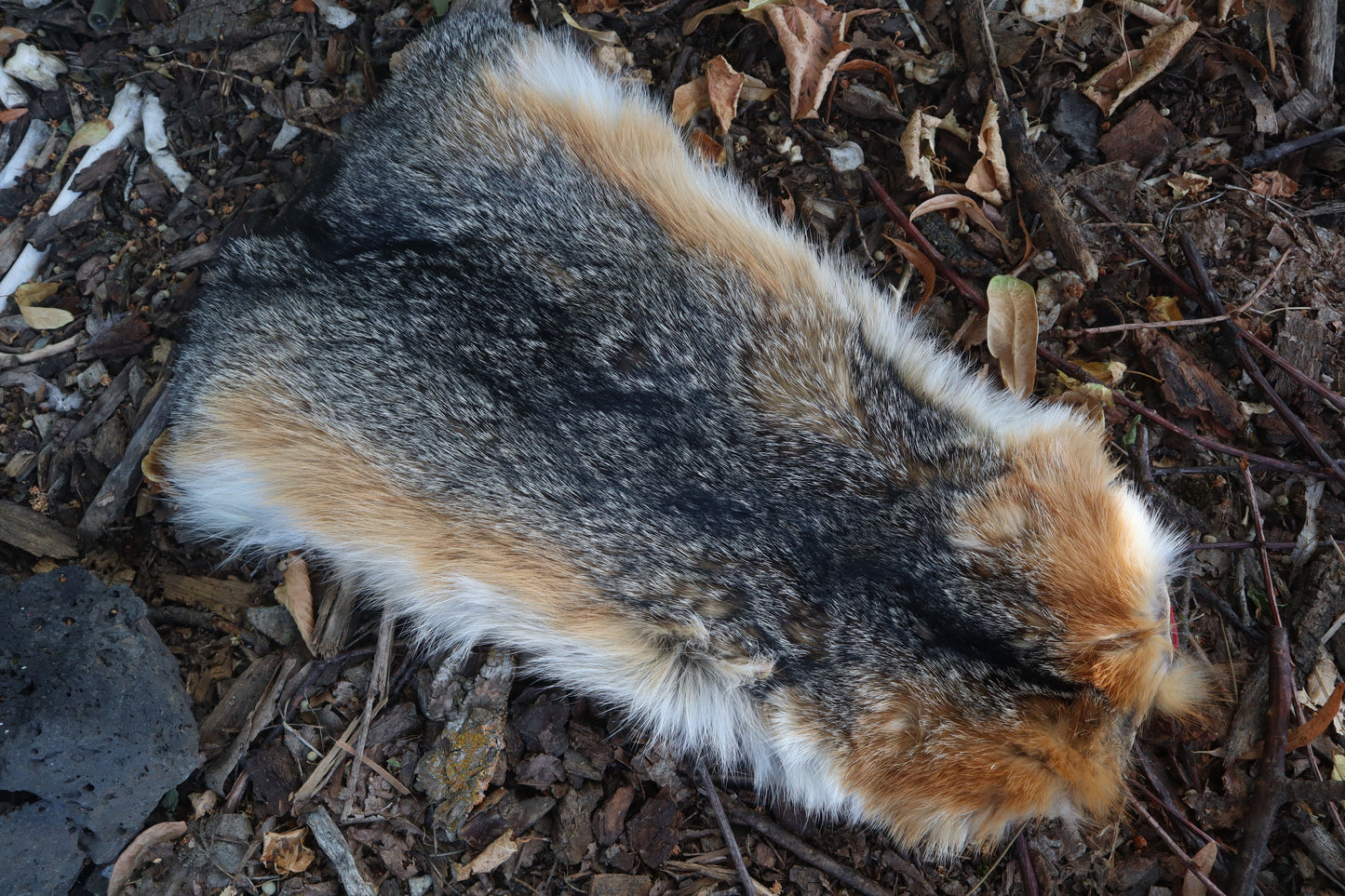 Gray Fox Altar Topper