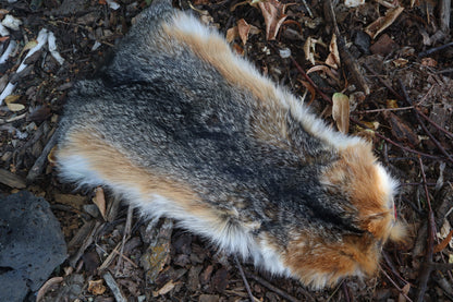 Gray Fox Altar Topper
