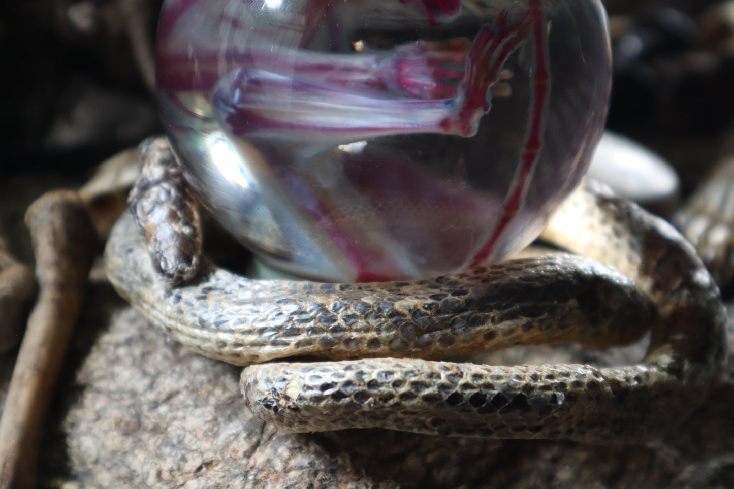 Diaphonized Sugar Glider Crystal Ball with Serpent Throne