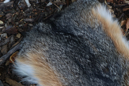 Gray Fox Altar Topper