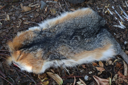 Gray Fox Altar Topper
