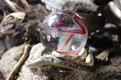 Diaphonized Sugar Glider Crystal Ball with Serpent Throne