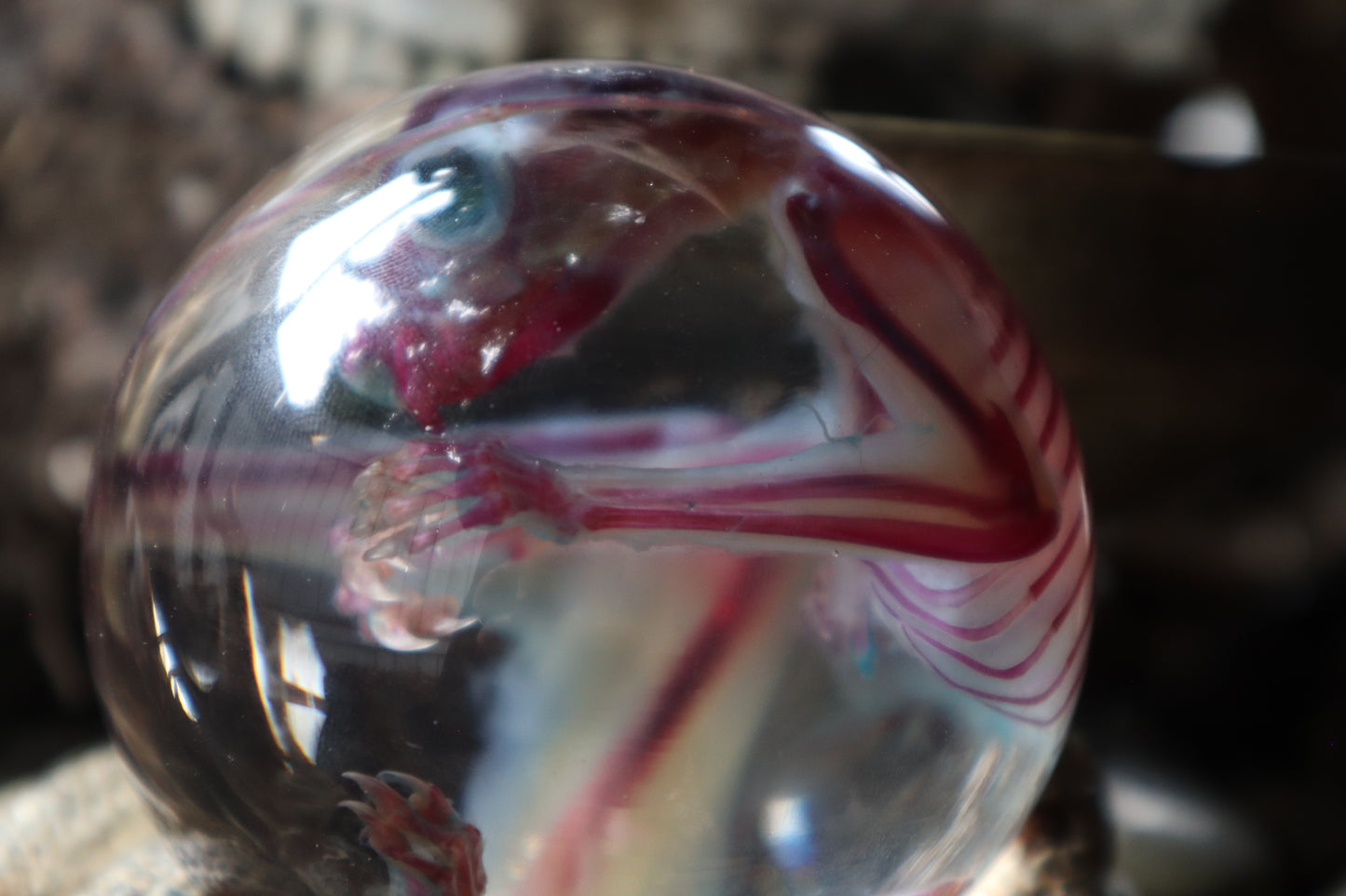 Diaphonized Sugar Glider Crystal Ball with Serpent Throne