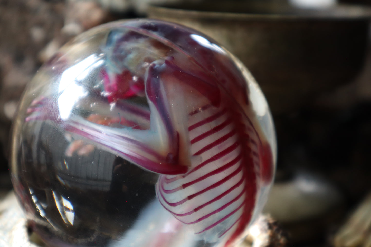 Diaphonized Sugar Glider Crystal Ball with Serpent Throne