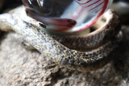 Diaphonized Sugar Glider Crystal Ball with Serpent Throne