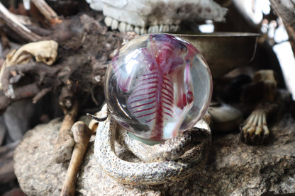 Diaphonized Sugar Glider Crystal Ball with Serpent Throne