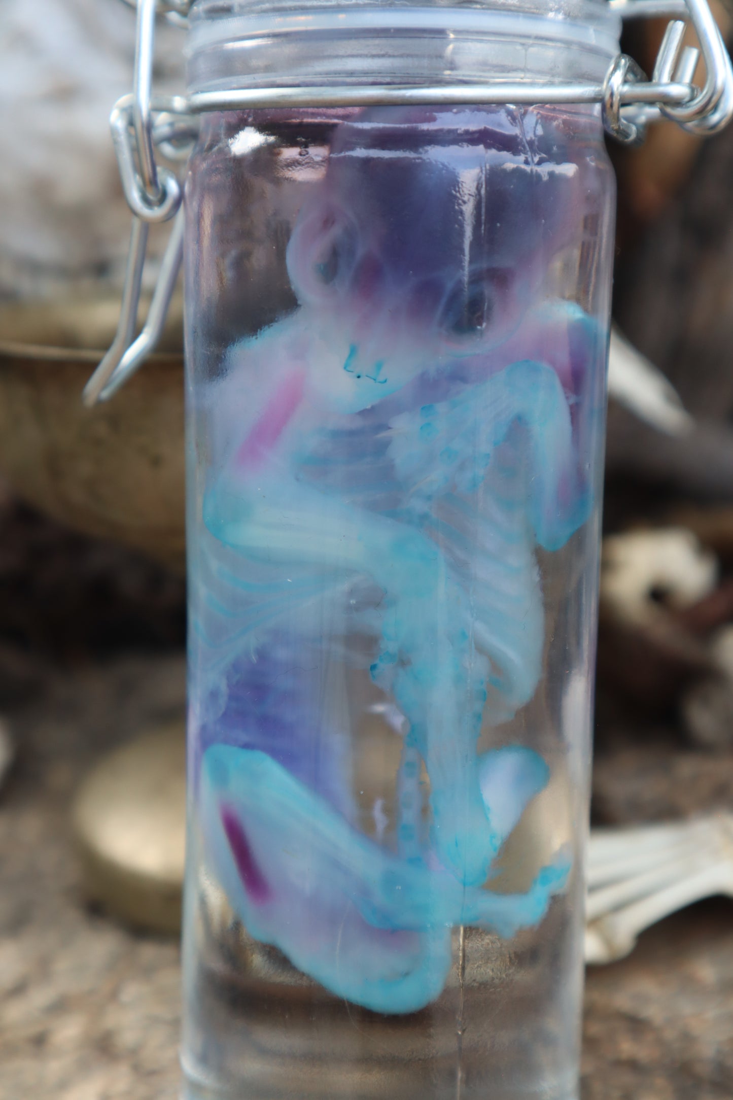 Diaphonized Fetal Kitten