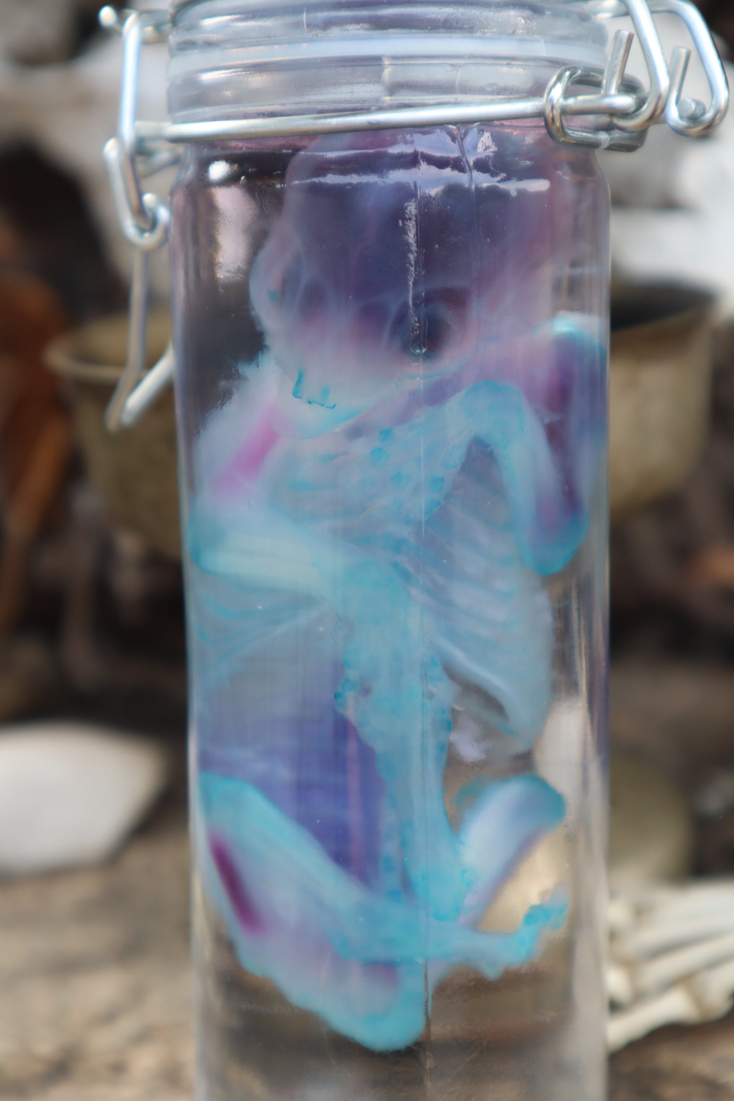 Diaphonized Fetal Kitten
