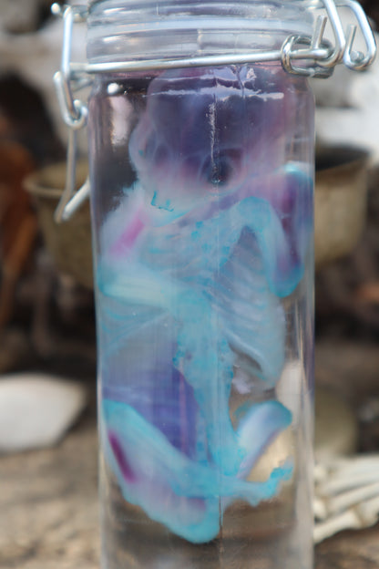 Diaphonized Fetal Kitten