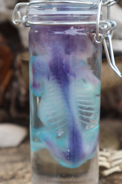 Diaphonized Fetal Kitten