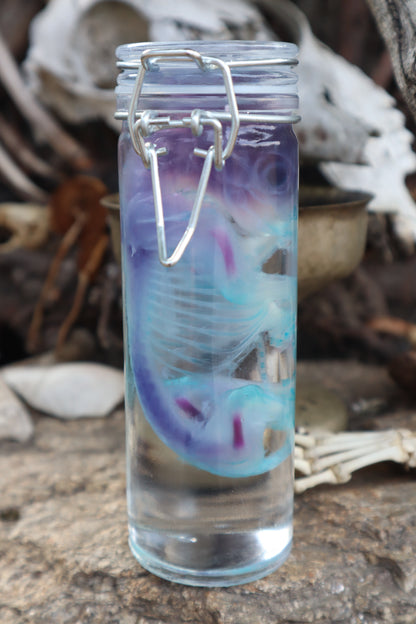 Diaphonized Fetal Kitten