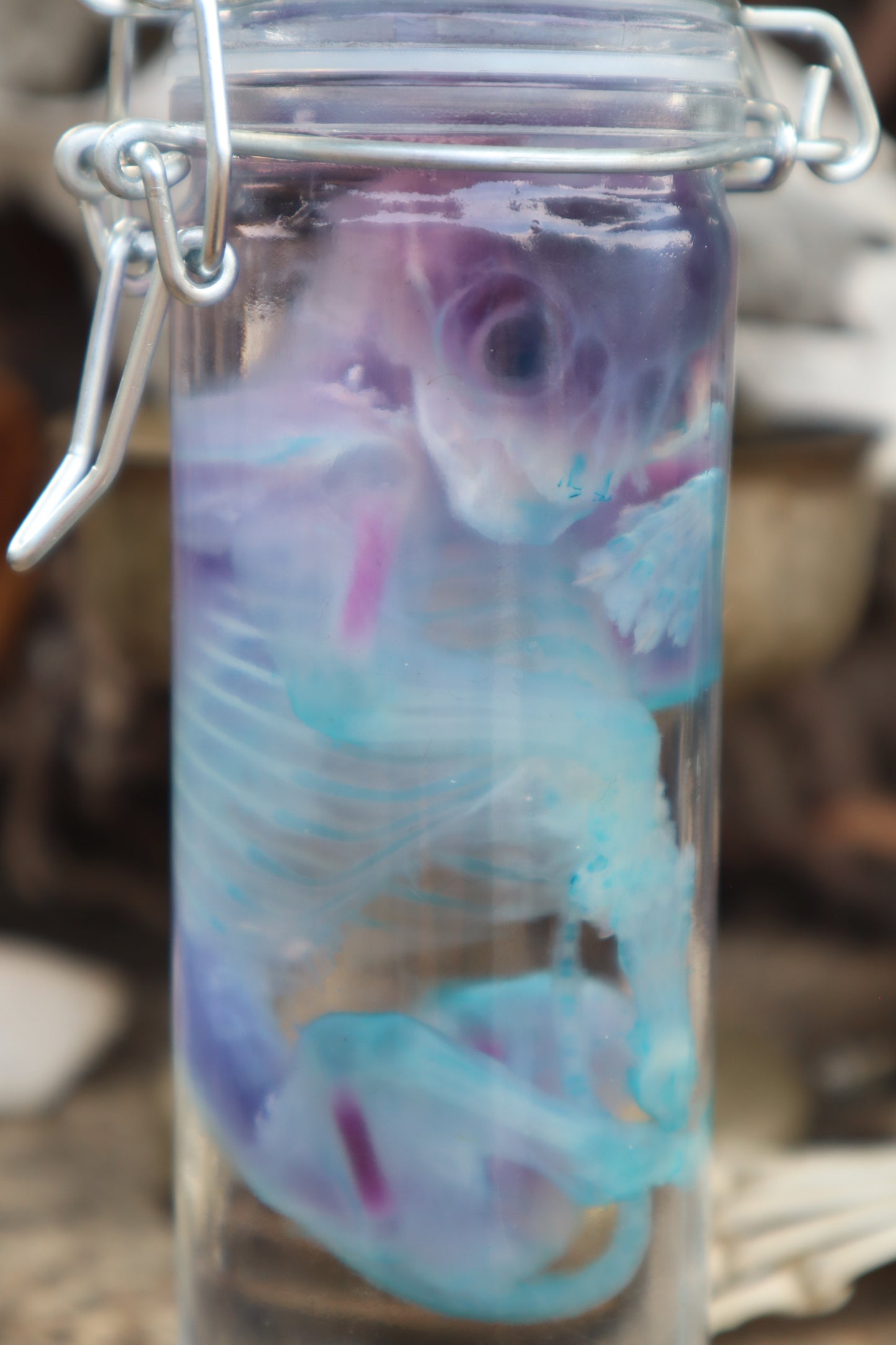 Diaphonized Fetal Kitten