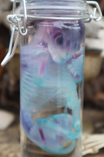 Diaphonized Fetal Kitten