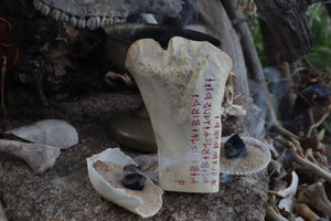 Keeper of the Birds Elk Bone Idol
