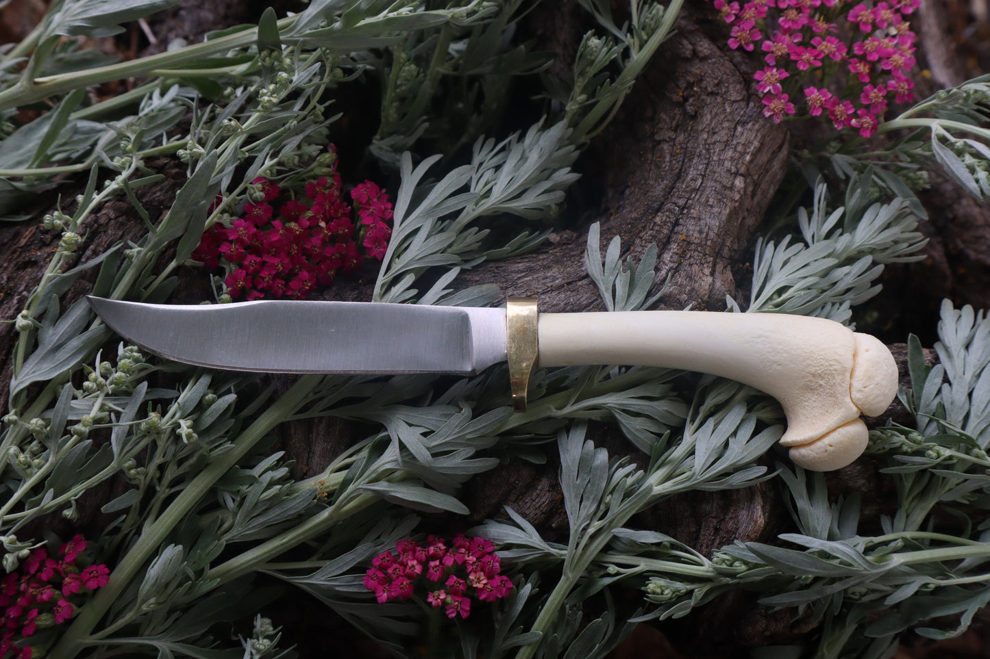 Freyja's Fawn Humerus Knife