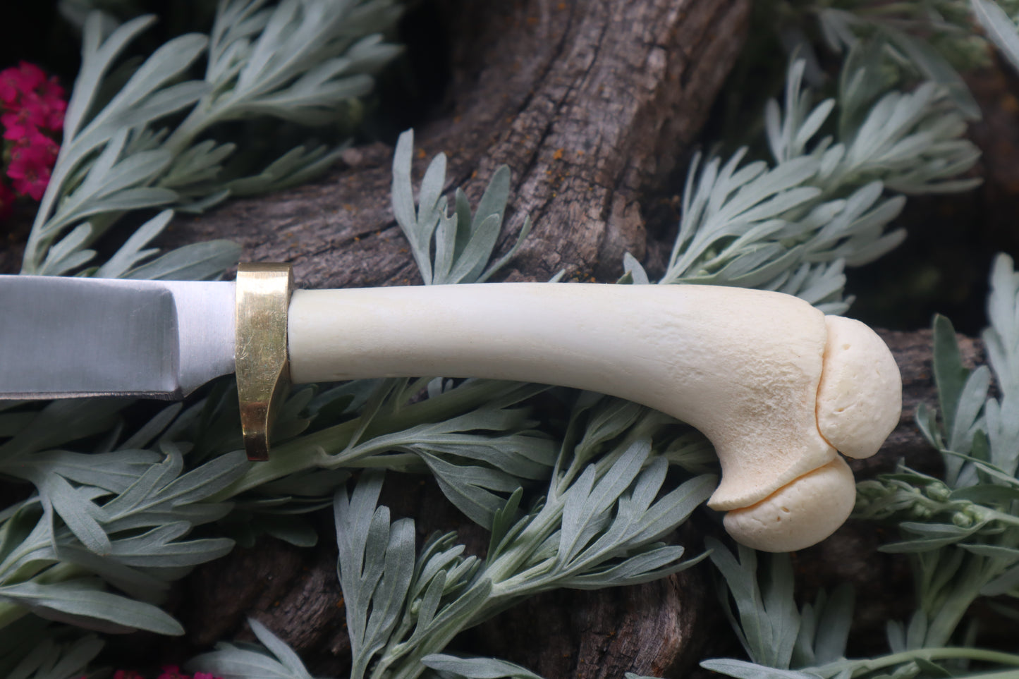Freyja's Fawn Humerus Knife