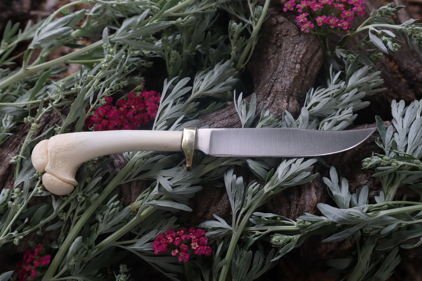 Freyja's Fawn Humerus Knife