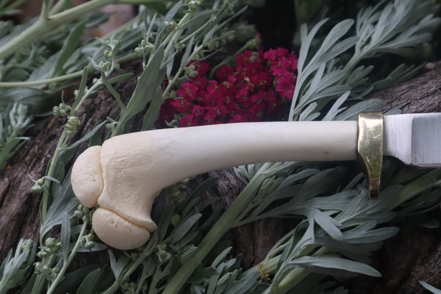 Freyja's Fawn Humerus Knife