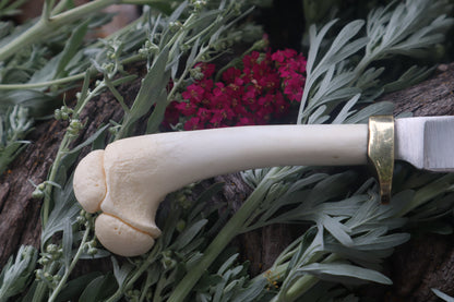 Freyja's Fawn Humerus Knife