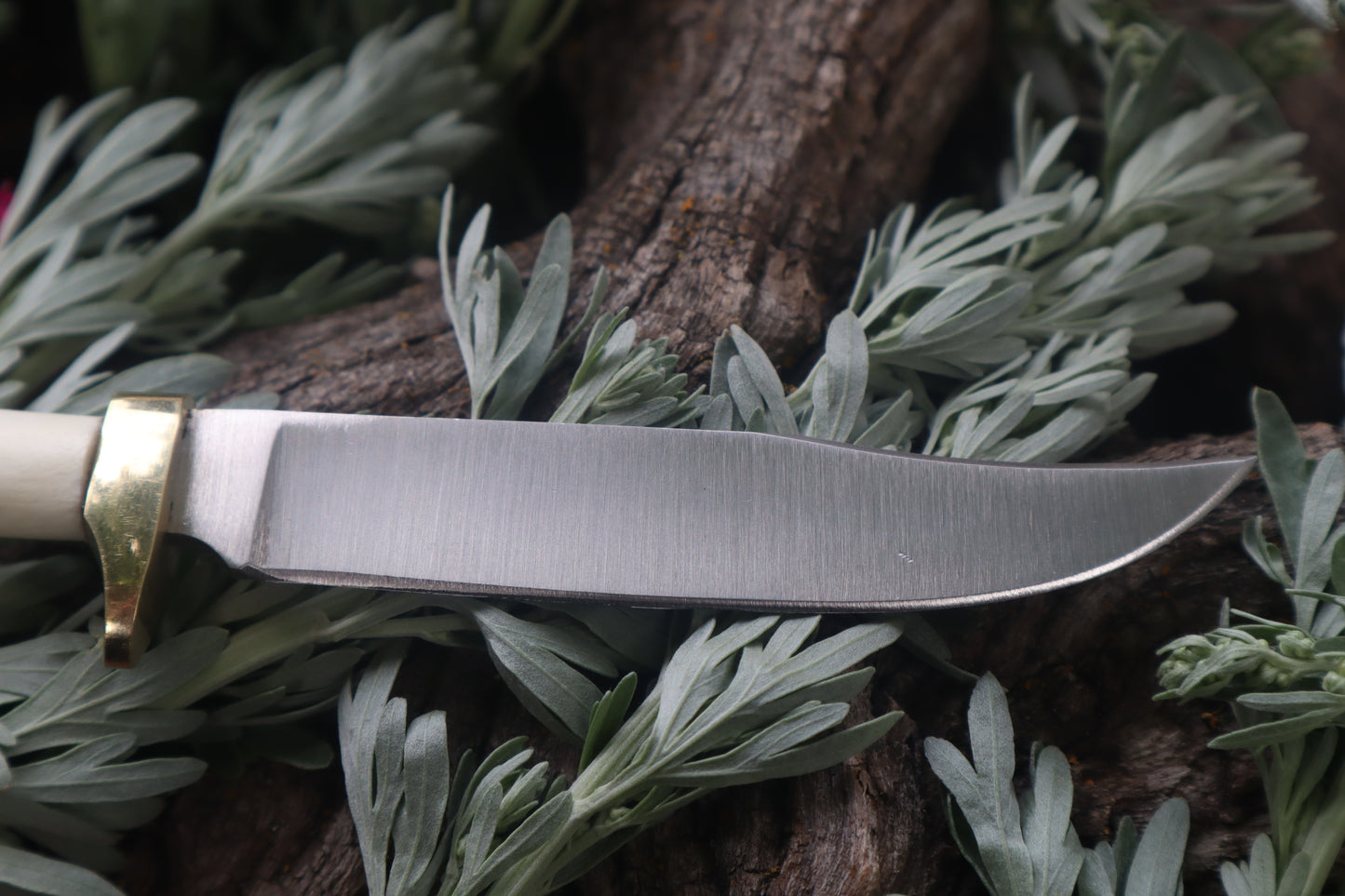 Freyja's Fawn Humerus Knife