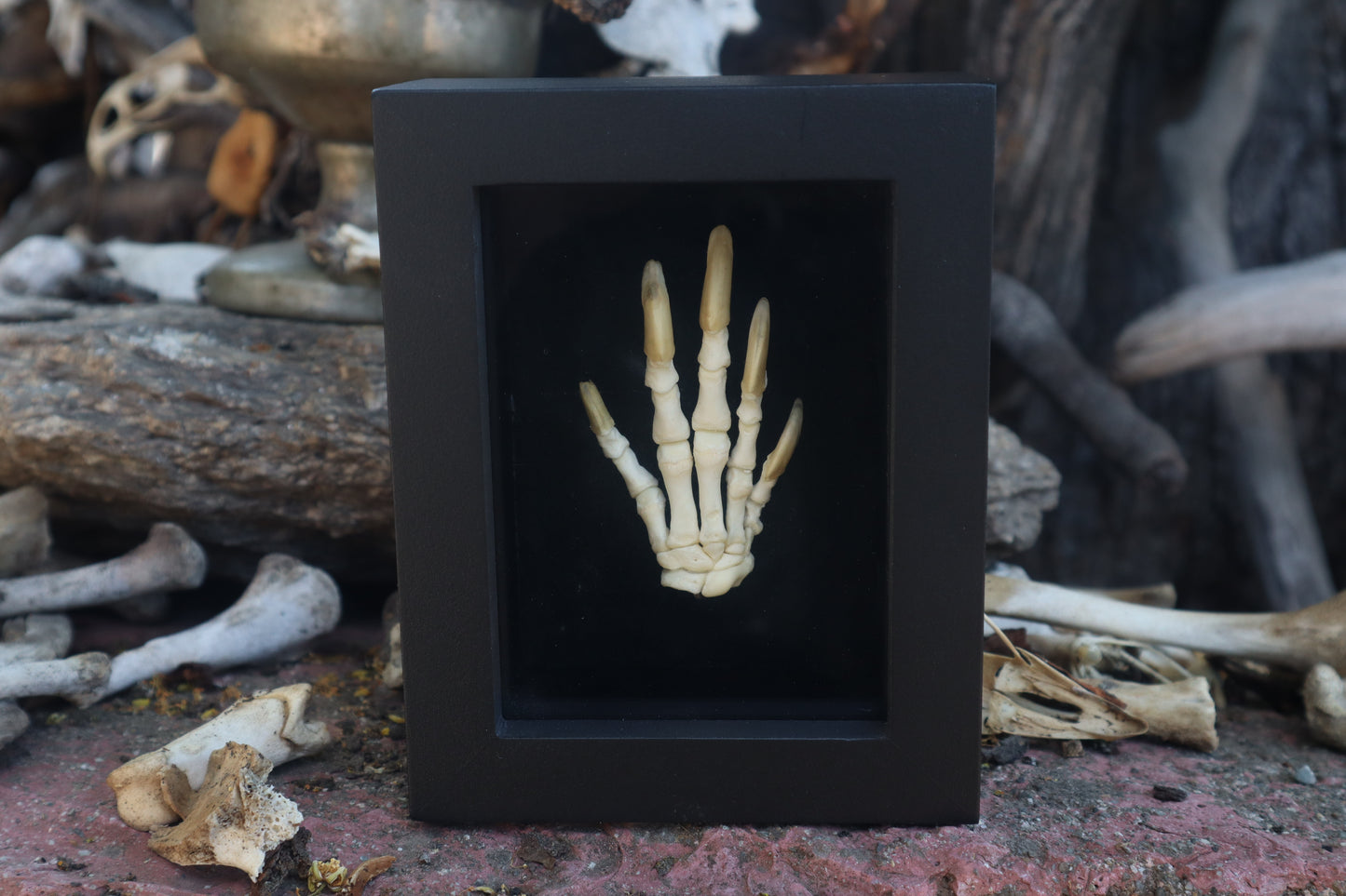Reserved for Melina - Beaver Paw Articulation