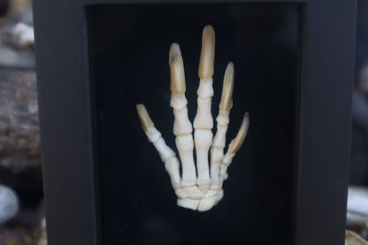 Reserved for Melina - Beaver Paw Articulation