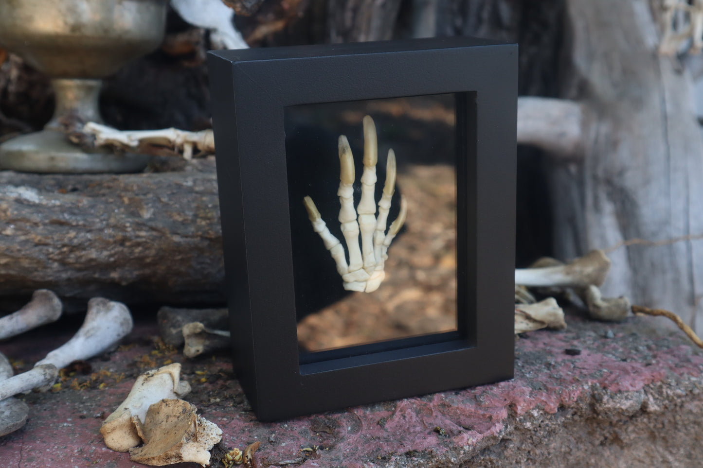 Reserved for Melina - Beaver Paw Articulation