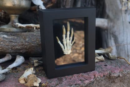Reserved for Melina - Beaver Paw Articulation