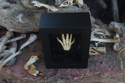 Reserved for Melina - Beaver Paw Articulation