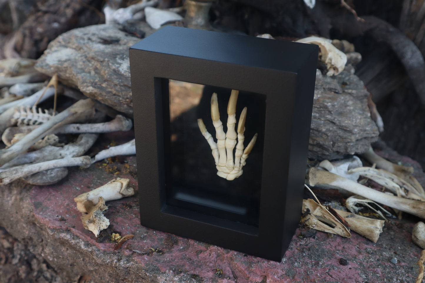 Reserved for Melina - Beaver Paw Articulation