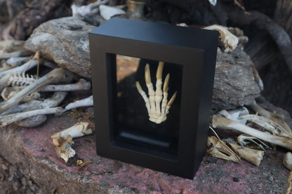 Reserved for Melina - Beaver Paw Articulation