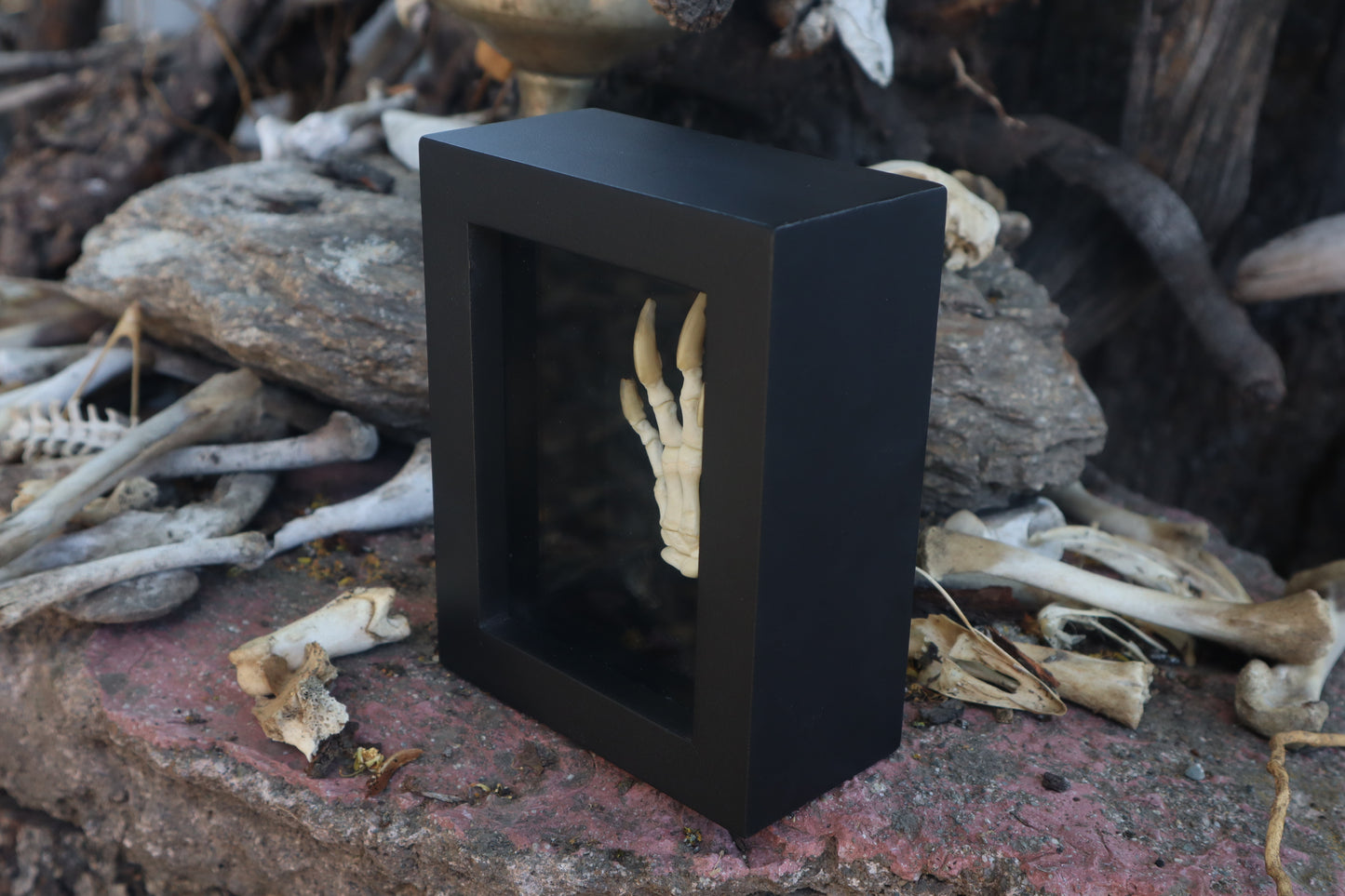 Reserved for Melina - Beaver Paw Articulation
